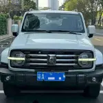Tank Tank 300 2022 из Китая