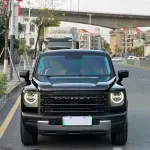 Haval Menglong New Energy 2023 378 л.с. из Китая
