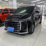大通 G20 2022 из Китая
