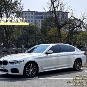 BMW 5 Series 2020 252 л.с. — лот 57799120 из Китая