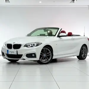 BMW 2 Series (Import) 2018 184 л.с. 184 л.с. 184 л.с. из Китая