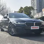 BMW 5 Series (Import) 2021 184 л.с. из Китая