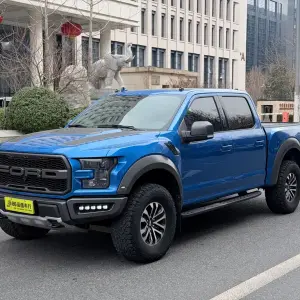 Ford F-150 Raptor 2020 381 л.с. — лот 57815872 из Китая