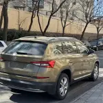 Skoda Kodiaq 2019 из Китая
