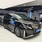GAC Motor Trumpchi M8 2022 из Китая