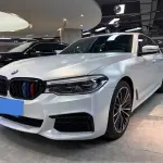 BMW 5 Series 2020 252 л.с. — лот 57822022 из Китая