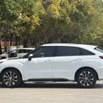 Honda Avancier 2017 из Китая