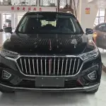 Hongqi Hongqi HS5 2019 из Китая