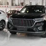 Hongqi Hongqi HS5 2019 из Китая