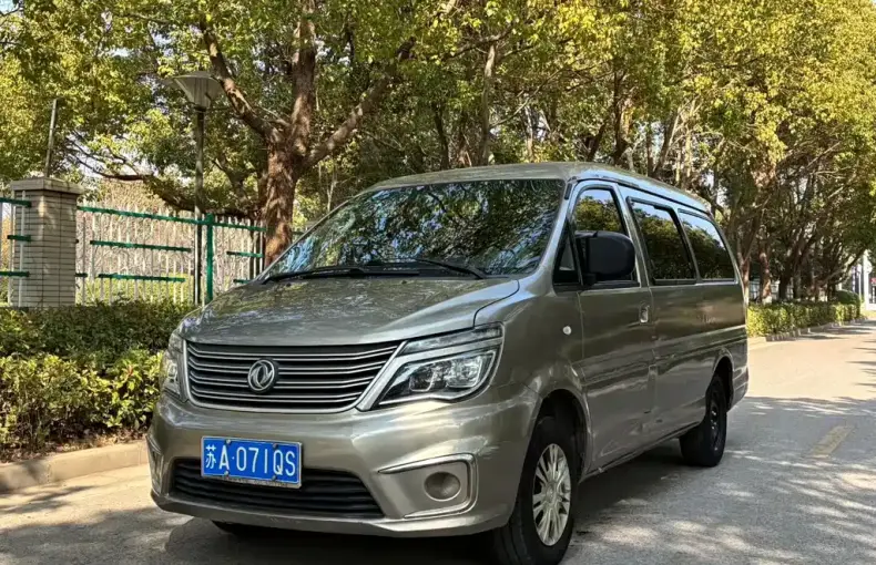 Fengxing Lingzhi 2019 из Китая