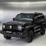 Tank Tank 300 2024 из Китая