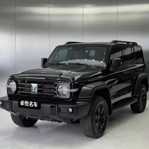 Tank Tank 300 2024 из Китая