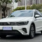Volkswagen Tiguan L New Energy 2021 из Китая