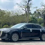 Hongqi Hongqi H5 2023 из Китая
