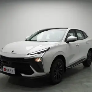 Fengxing Fengxing T5 EVO 2024 из Китая