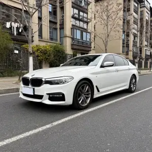 BMW 5 Series (Import) 2018 из Китая