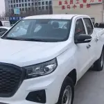 Changan 长安F70蓝鲸 из Китая