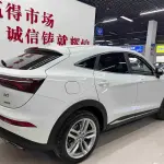 Fengguang Fengguang ix5 2019 из Китая