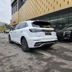 Hongqi Hongqi HS5 2024 из Китая