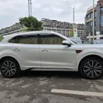 Hongqi Hongqi HS5 2024 из Китая