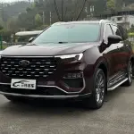 Ford Territory 2021 из Китая