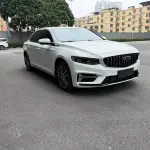 Geely Xingrui 2023 из Китая