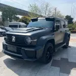 Tank Tank 300 2022 из Китая