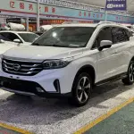 GAC Motor Trumpchi GS4 2019 из Китая