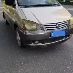 Fengxing Lingzhi 2013 из Китая