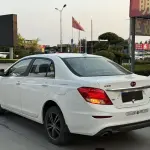 BYD Surui 2015 из Китая