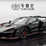 McLaren 2018 из Китая
