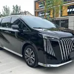 GAC Motor Trumpchi M8 2023 из Китая