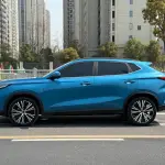 Oshan Oushang X5 2021 из Китая