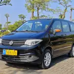 Dongfeng Shuake 2016 из Китая