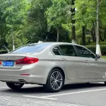 BMW 5 Series 2018 из Китая