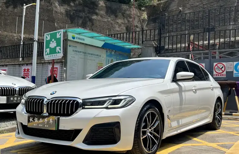 BMW 5 Series New Energy 2021 из Китая