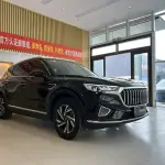 Hongqi Hongqi HS5 2022 из Китая