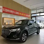 Hongqi Hongqi HS5 2022 из Китая