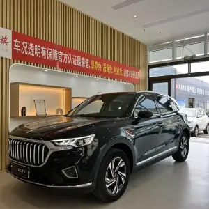 Hongqi Hongqi HS5 2022 из Китая