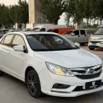 BYD Surui 2015 из Китая