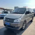 Fengxing Lingzhi 2017 из Китая