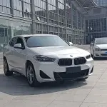 BMW X2 2020 из Китая