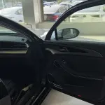 Hongqi Hongqi H9 2020 из Китая