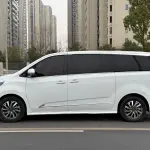 大通 G20 2021 из Китая
