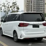 大通 G20 2021 из Китая