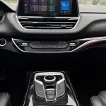 大通 G20 2021 из Китая
