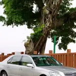 Lexus LS 2004 из Китая