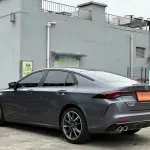 GAC Motor Shadow Leopard 2024 из Китая