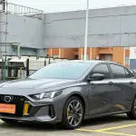 GAC Motor Shadow Leopard 2024 из Китая