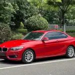 BMW 2 Series (Import) 2016 из Китая